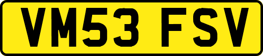 VM53FSV