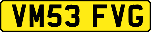VM53FVG
