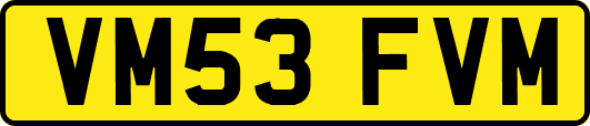 VM53FVM