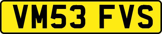 VM53FVS