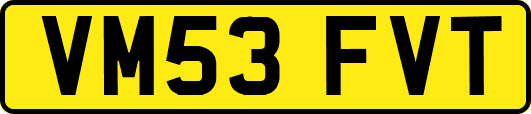 VM53FVT