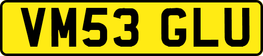 VM53GLU
