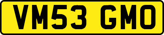 VM53GMO