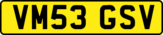 VM53GSV