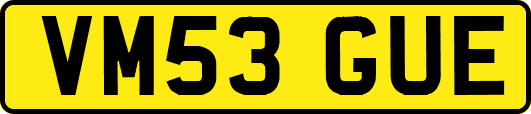 VM53GUE