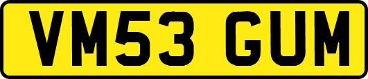VM53GUM