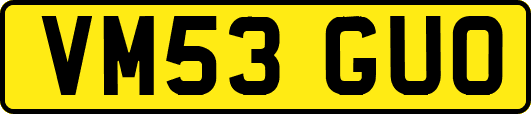 VM53GUO
