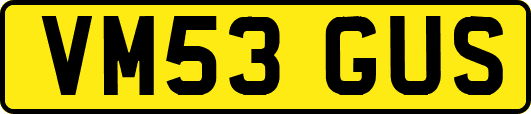 VM53GUS