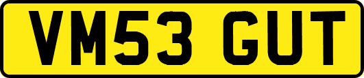 VM53GUT