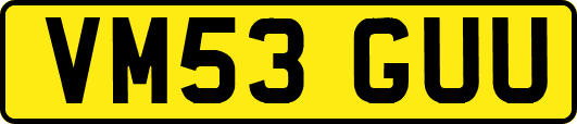 VM53GUU