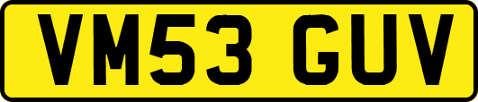 VM53GUV