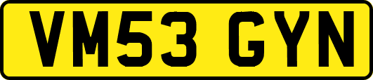 VM53GYN