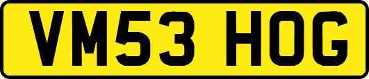 VM53HOG