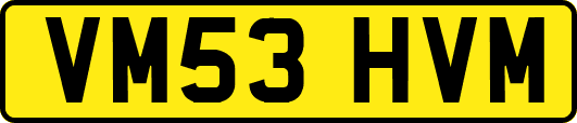 VM53HVM