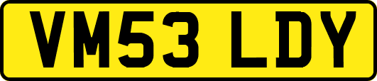 VM53LDY