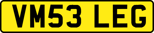 VM53LEG