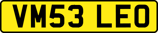 VM53LEO