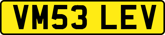 VM53LEV