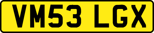 VM53LGX