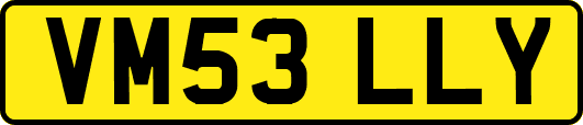 VM53LLY