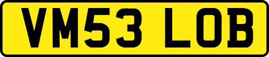VM53LOB