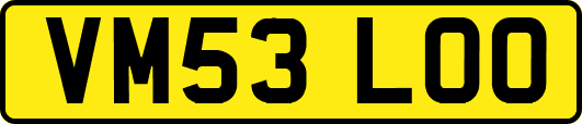 VM53LOO