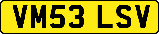 VM53LSV