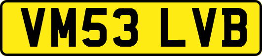 VM53LVB