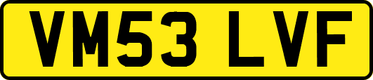 VM53LVF
