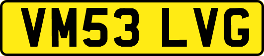VM53LVG