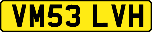 VM53LVH