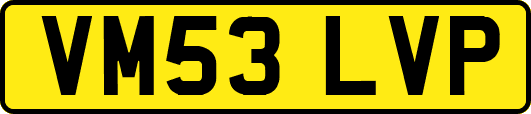 VM53LVP