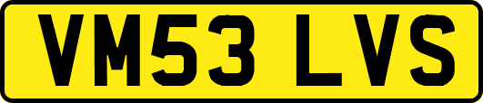 VM53LVS