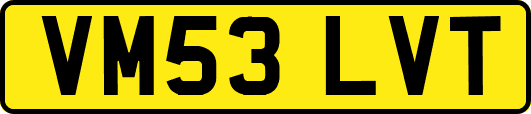 VM53LVT