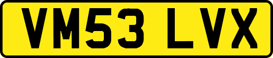 VM53LVX