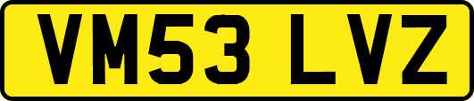 VM53LVZ