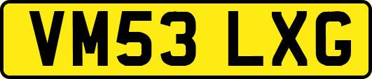VM53LXG
