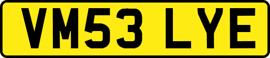 VM53LYE