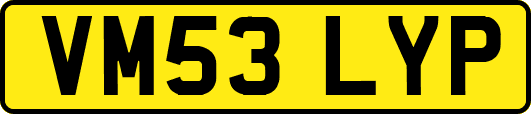 VM53LYP