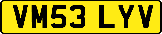 VM53LYV