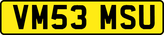 VM53MSU