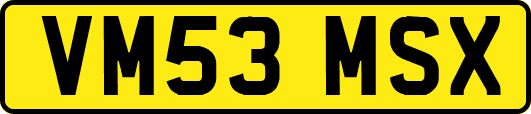 VM53MSX