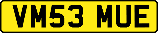 VM53MUE