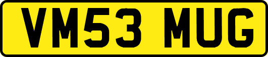 VM53MUG
