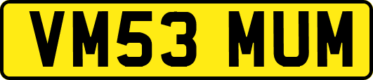 VM53MUM