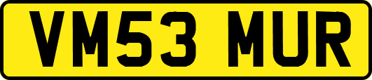 VM53MUR