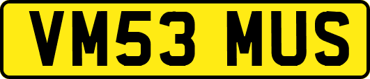 VM53MUS