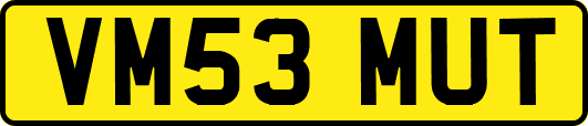 VM53MUT