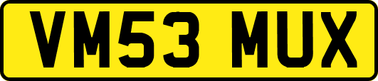 VM53MUX