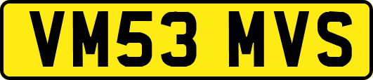VM53MVS